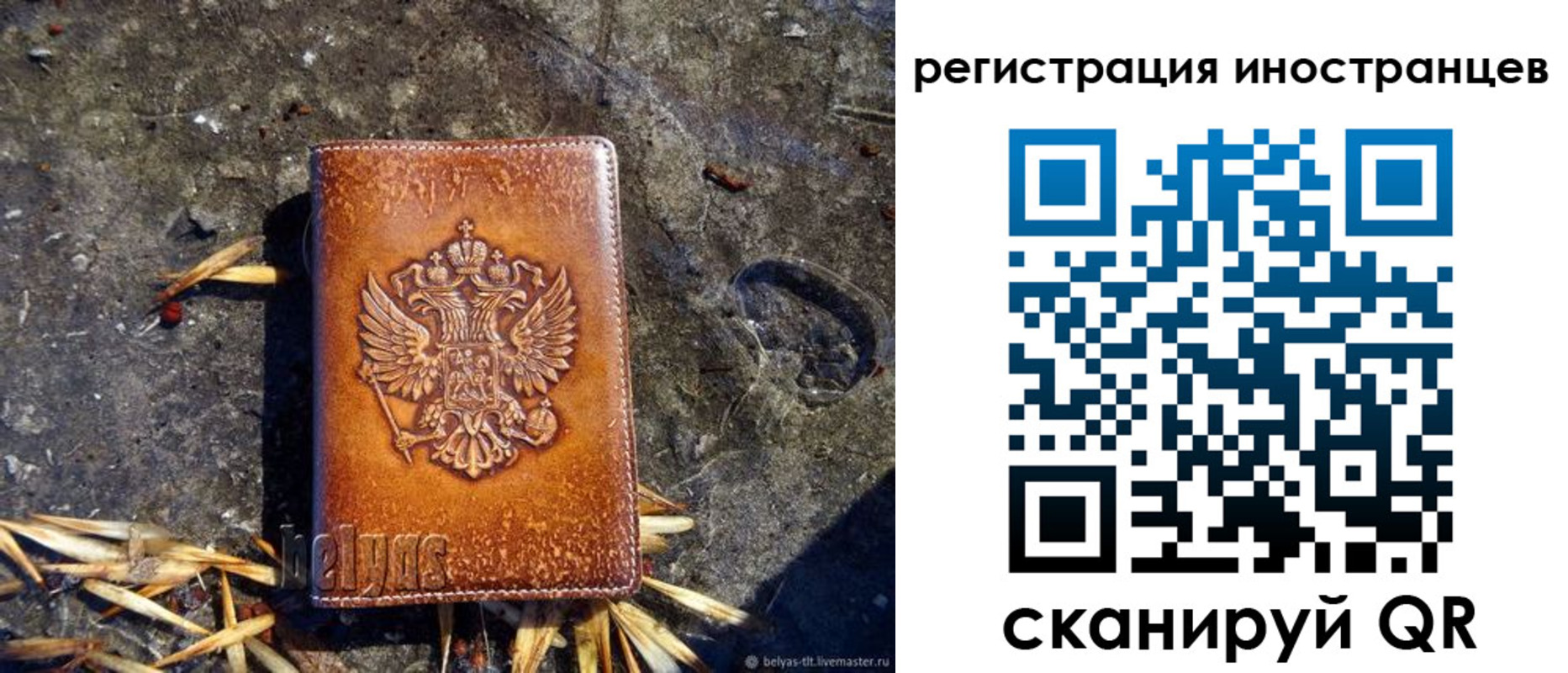 прописка регистрация в Жирновске